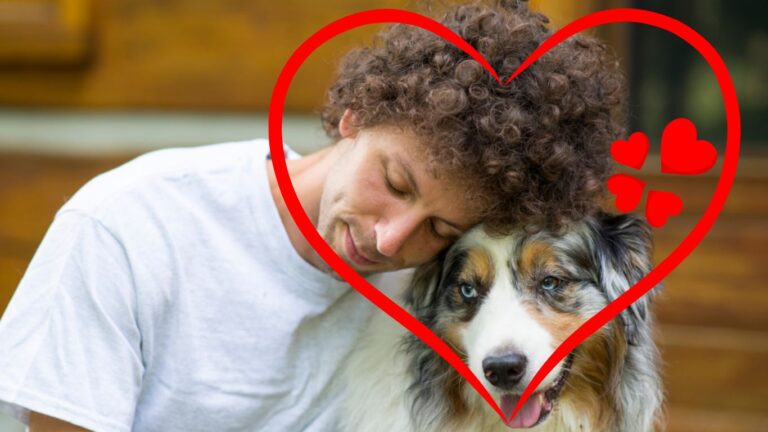 Heartwarming Signs Your Dog Truly Loves You